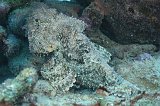 Curacao 04-12 052
